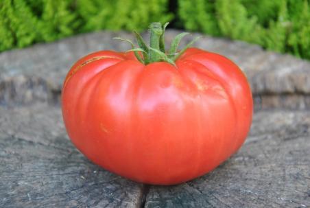 1/20 Whestone wonder11