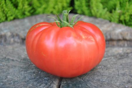 1/20 Whestone wonder11