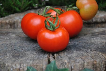 107/21 Bird of happiness