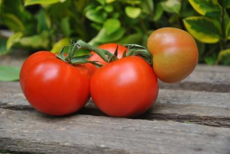 107/21 Bird of happiness