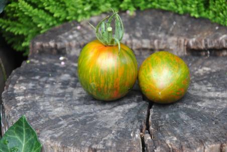 183/21 Coeur de supriz