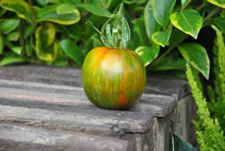 183/21 Coeur de supriz