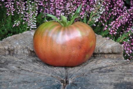 reinhard kraft purple heart