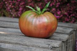 reinhard kraft purple heart