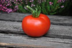 81/21 Sterling old norway