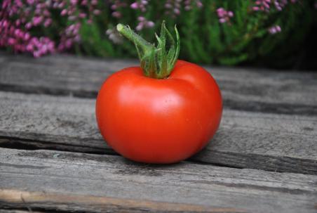 81/21 Sterling old norway