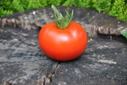 81/21 Sterling old norway