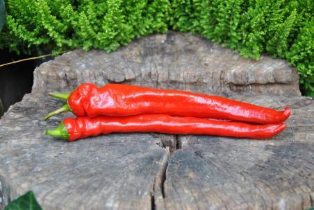 34B Mehmet's sweet turkish