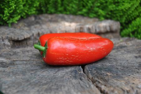 54B Nadapeno słodka