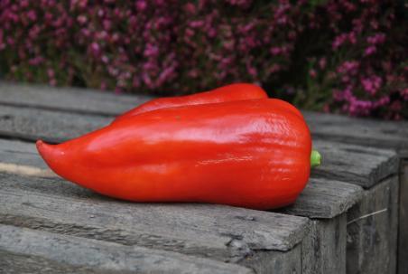 56B Snow white słodka