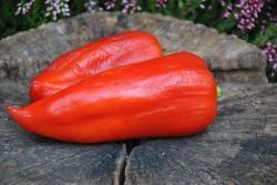 56B Snow white słodka