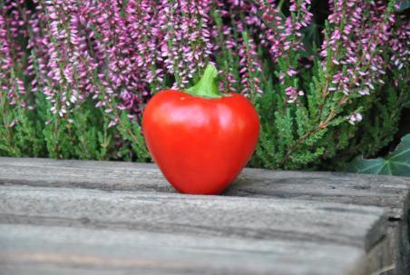 62B Little heart słodka