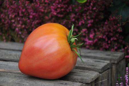 92/20 Coeur de bufor jarusalem serce