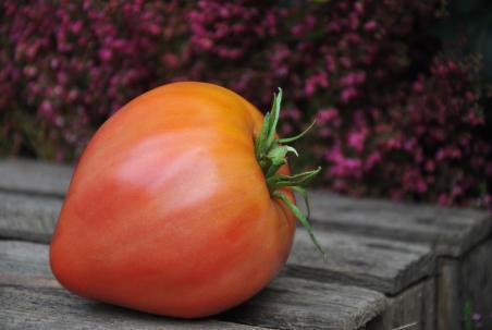 92/20 Coeur de bufor jarusalem serce