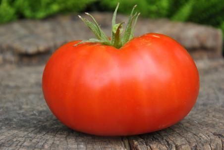 152/20 Geeks big pig