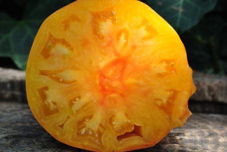 Pamplemousse du grand pere