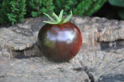 Indigo rosse
