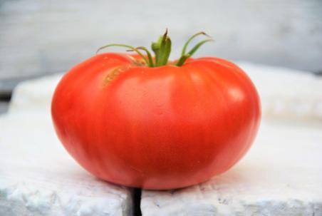 Madison country pink