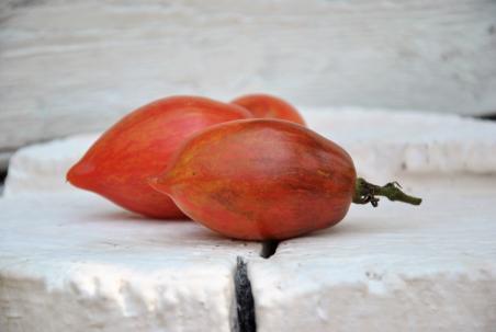 Streak lighting sopel