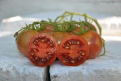 130B Cherokee tiger black