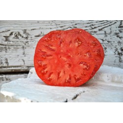 136B watermelon