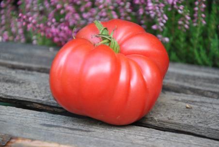 174B Dobrynja nikitich