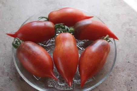 18222 STREAK LIGHTNING