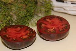 22122/23 Marsha s Starfighter Beef