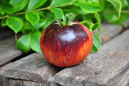 23922/23 Rubinowe jabłko