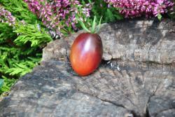 26822/23 black kumquat