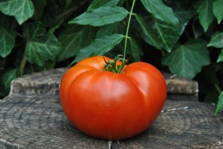 321/22 Brandywine otv