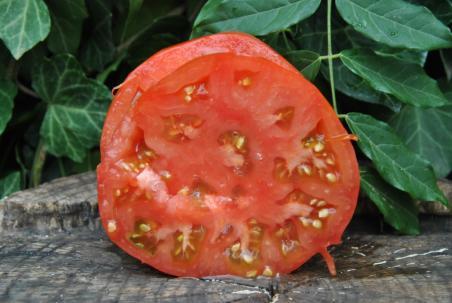 321/22 Brandywine otv