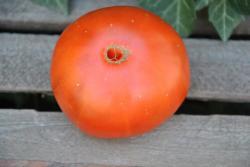 321/22 Brandywine otv