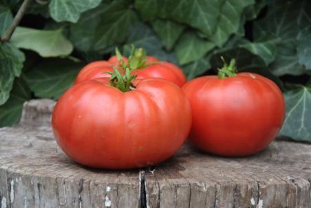 323/22 brandywine suddath's