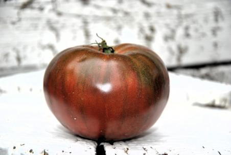 324/22 Brandywine black