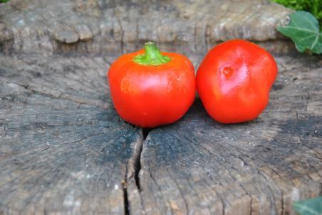 29/2122 Red sweet cherry