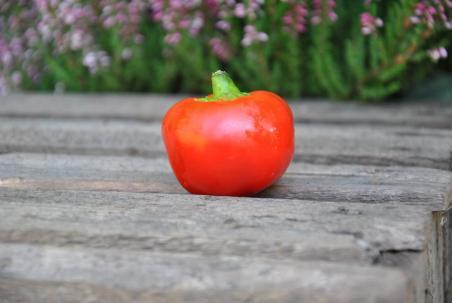 29/2122 Red sweet cherry