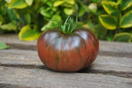 212/23 Russian cossack