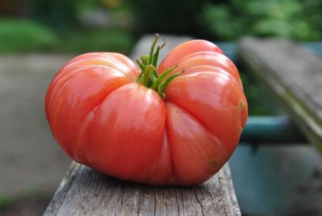 98/23 radost vnuchki