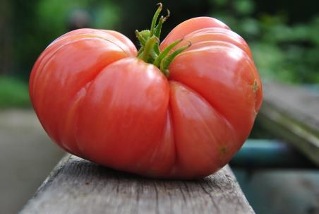 98/23 radost vnuchki