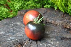 139/23 Chesnut chocolate