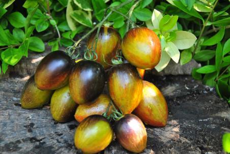 151/23 Brad's atomic grape