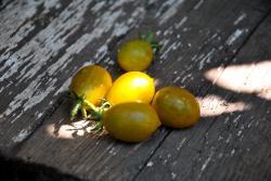 163/23 Ambers keyes