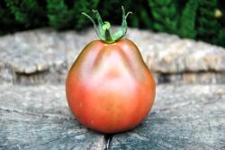 181/23 Hrusha Chorna