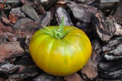 Malachitowa skatuła/ Malachite box