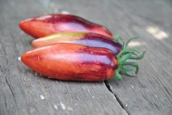 Gourmet plum pink
