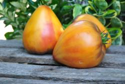 Ananasnyy Serzhant / Sierżant Ananasowy