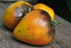 Ananasnyy Serzhant / Sierżant Ananasowy