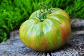 Vishnevyye Polosy / Wiśniwe paski/ Cherry Stripes