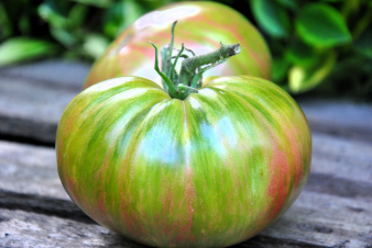 Vishnevyye Polosy / Wiśniwe paski/ Cherry Stripes